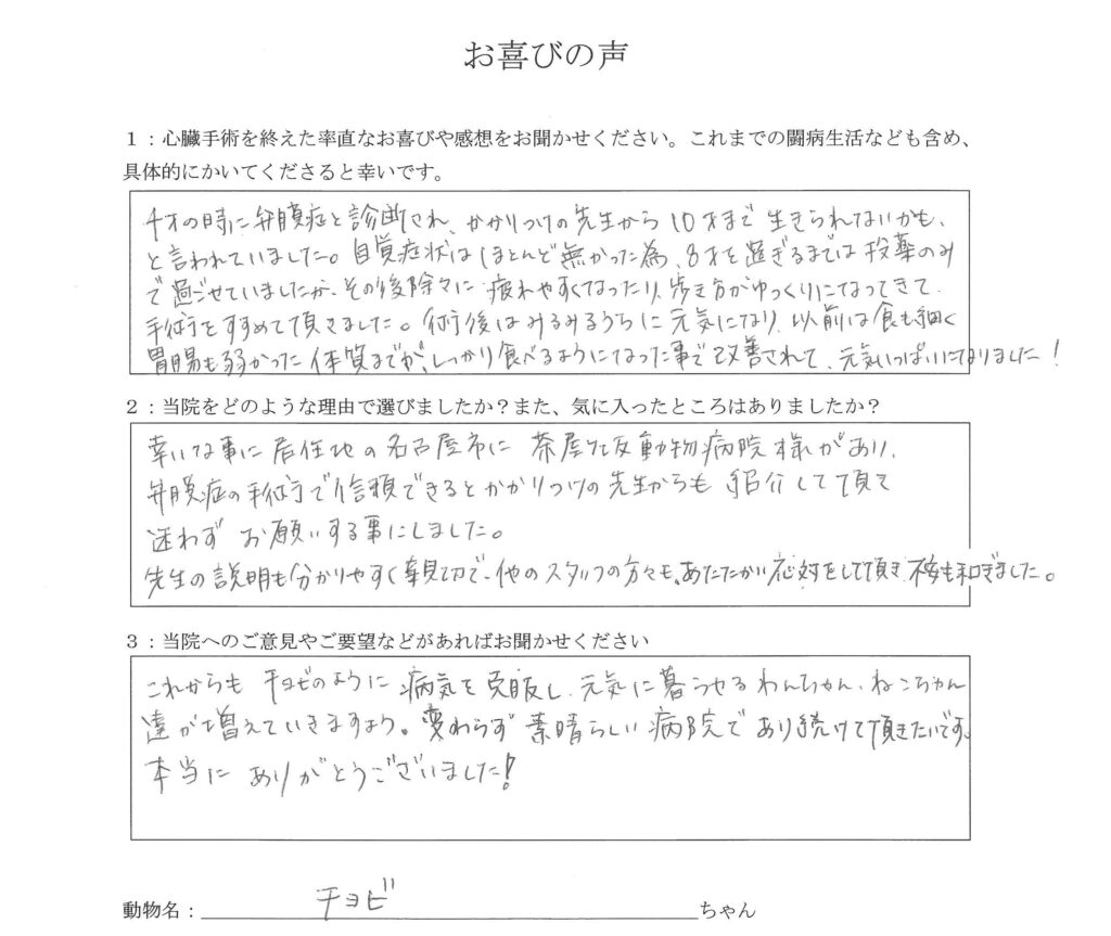 20231126