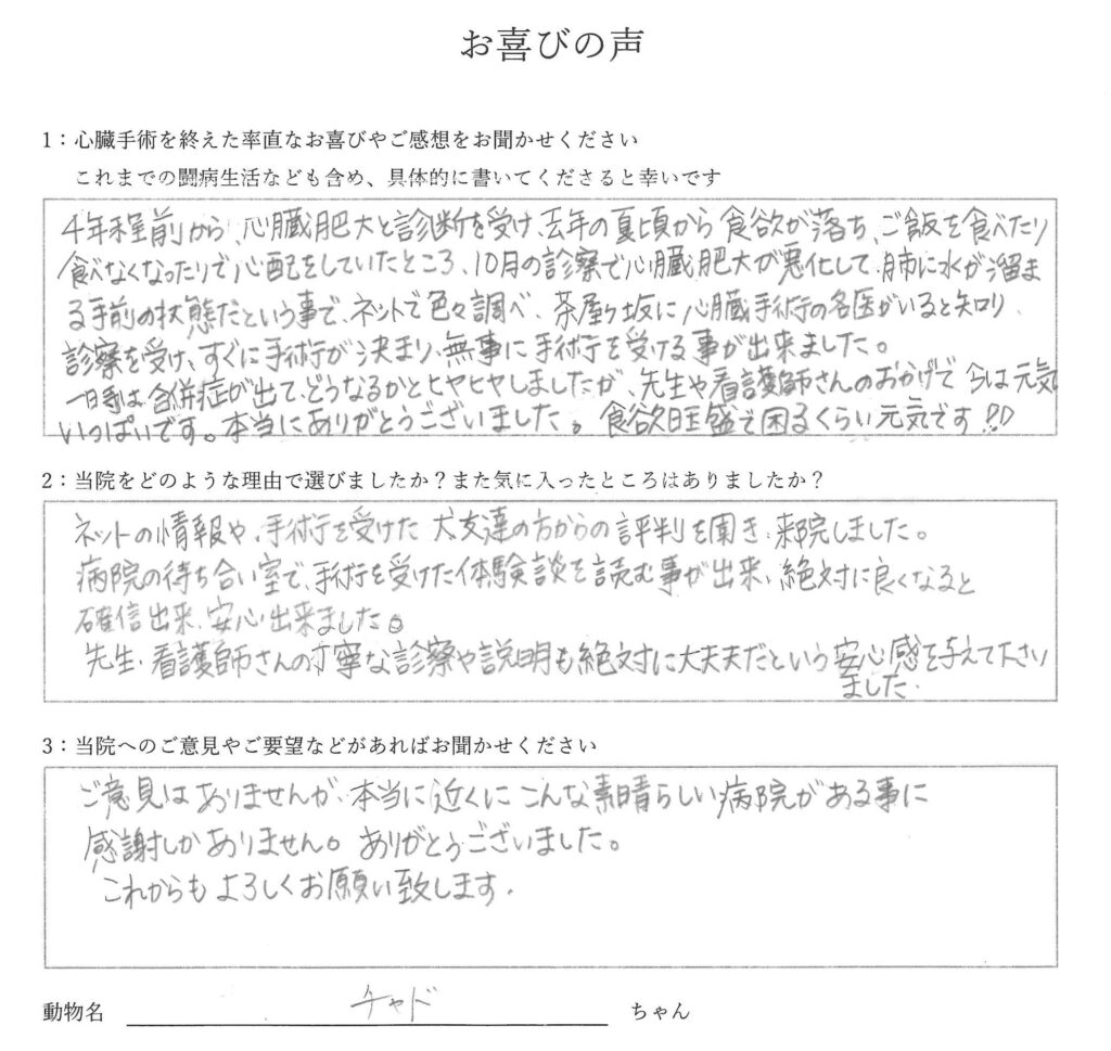 20250602