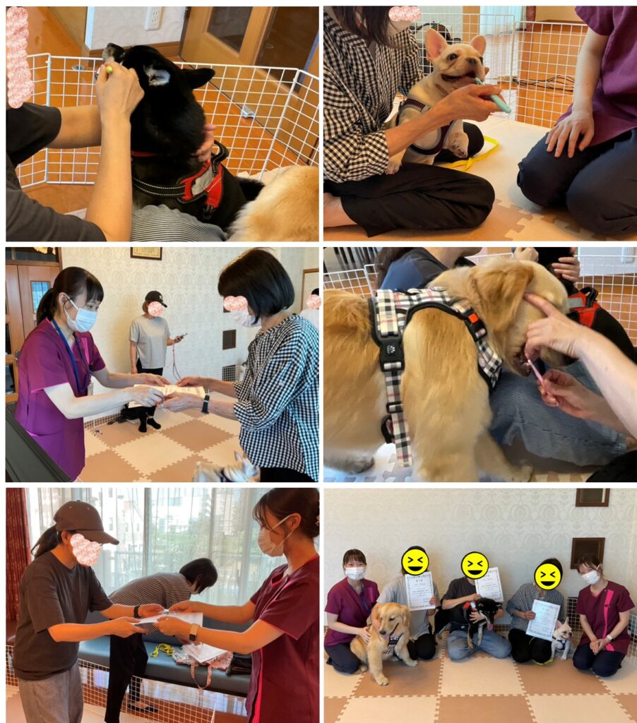 パピークラス