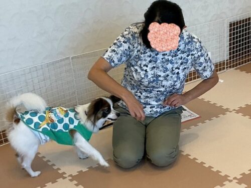 パピークラス