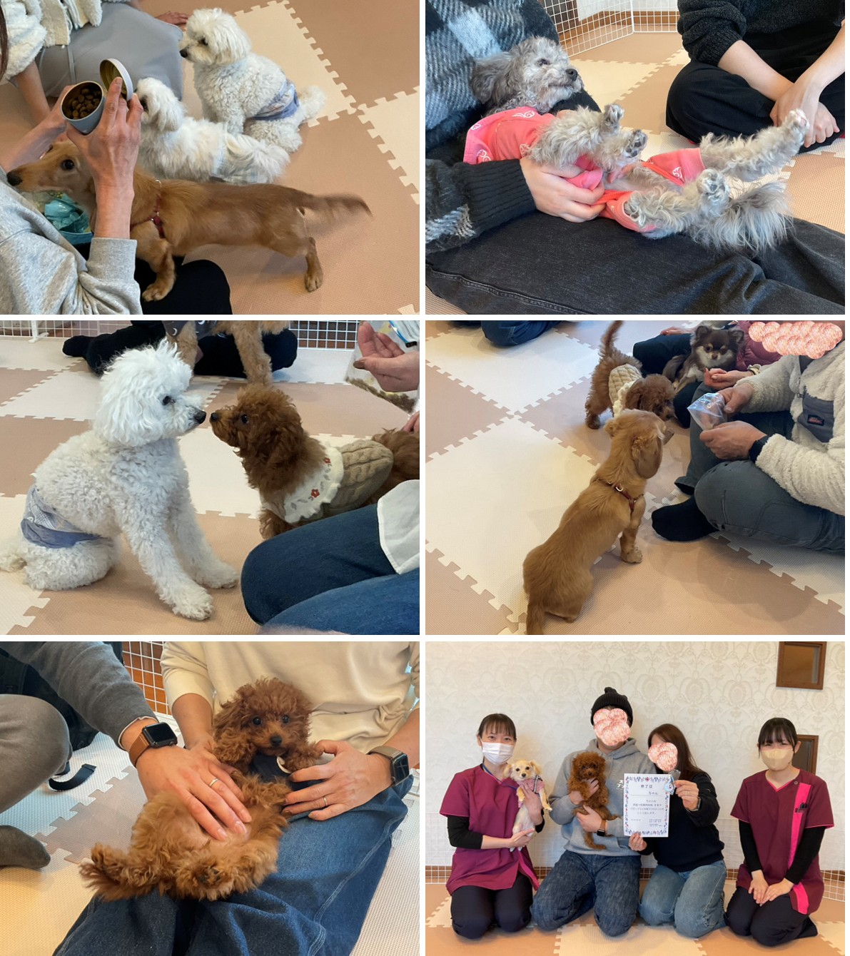 パピークラス202601